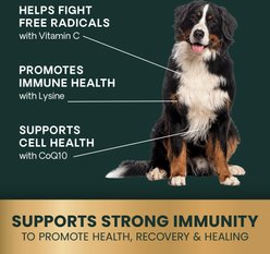 VetriScience Immune Plus Immunity Support for Dogs, 120 count slide 2 of 9