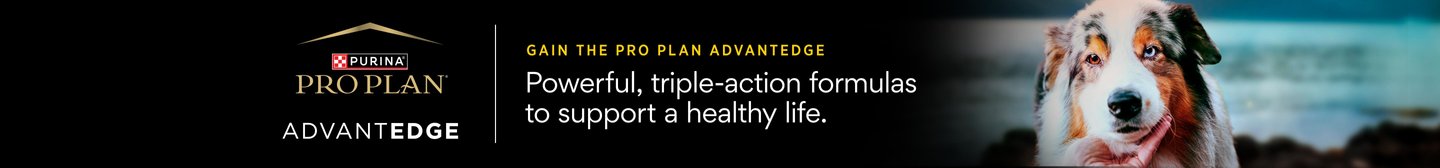 Purina ProPlan Advantedge Gain the Pro Plan Advantedge Powerful, triple-action formulas to support a healthy life.
