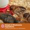 Show in main carousel: Purina Organic Starter-Grower 18% Protein Crumble Chick Feed, 35-lb bag slide 8 of 10