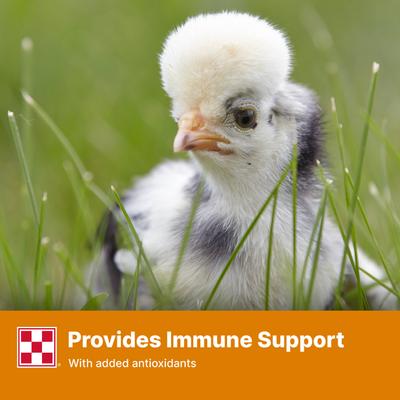 Show full view: Purina Start & Grow Non-Medicated 18% Protein Crumbles Chick Feed, 25-lb bag slide 6 of 10