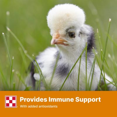 Show full view: Purina Start & Grow Non-Medicated 18% Protein Crumbles Chick Feed, 5-lb bag slide 6 of 10