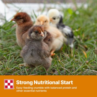 Show full view: Purina Start & Grow Non-Medicated 18% Protein Crumbles Chick Feed, 25-lb bag slide 8 of 10