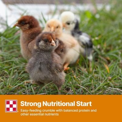 Show full view: Purina Start & Grow Non-Medicated 18% Protein Crumbles Chick Feed, 5-lb bag slide 8 of 10