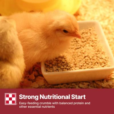 Show full view: Purina Start & Grow Medicated 18% Protein Crumbles Chick Food, 25-lb bag slide 8 of 10