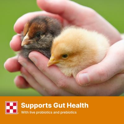 Show full view: Purina Start & Grow Non-Medicated 18% Protein Crumbles Chick Feed, 5-lb bag slide 7 of 10