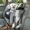 Show in main carousel: Petsfit Airline Approved Center Console Small Dog Car Booster Seat Carrier, Light Grey slide 1 of 12
