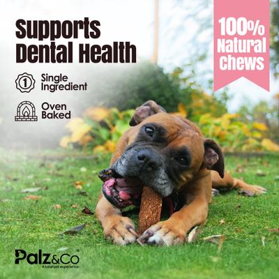 Show full view: Palz&Co Hogdog Pork Grain-Free Jerky Dog Treats, 8-oz bag, 10 count slide 9 of 10