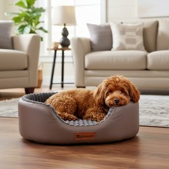 Kylinsure Waterproof Comfort Orthopedic Dog & Cat Sofa Bed with Removable Cover & Ice Pad, Coffee, Medium