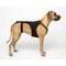 Show in main carousel: Labra IVDD, Spine Injury & Arthritis Dog Back Brace, XX-Large slide 1 of 7