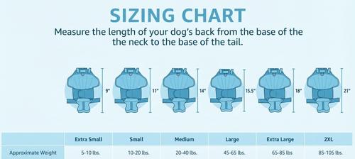 Show full view: Labra IVDD, Spine Injury & Arthritis Dog Back Brace, Medium slide 3 of 7