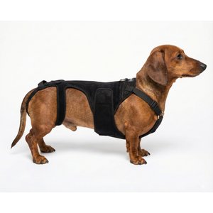 Doggie Stylz Dog Lift Harness