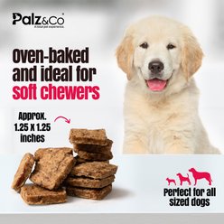 Palz&Co Birddog Chicken Grain-Free Soft & Chewy Bites Dog Treats, 6-oz bag slide 2 of 9
