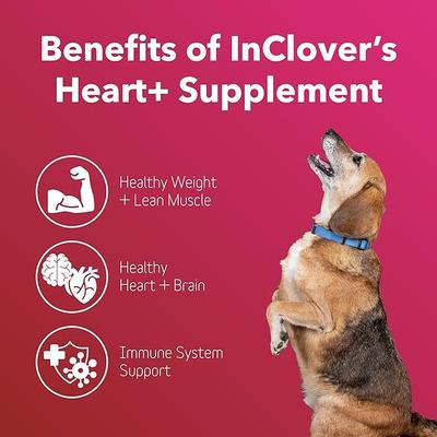 Show full view: InClover Heart+ Powder Supplement for Dogs & Cats, 100-gm jar slide 3 of 9