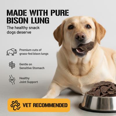 Show full view: Dog Chits Bison Lung Filets Dog Natural Chew Treats, 10-oz bag slide 5 of 8