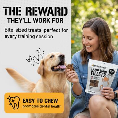 Show full view: Dog Chits Lamb Lung Filets Dog Natural Chew Treats, 10-oz bag slide 4 of 8