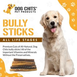 Dog Chits 6-in Zero Odor Beef Bully Sticks Dog Treats, 20 count slide 2 of 6