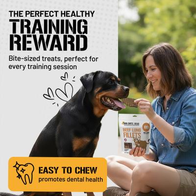 Show full view: Dog Chits Beef Lung Filets Dog Natural Chew Treats, 10-oz bag slide 4 of 8