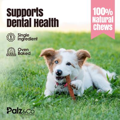 Show full view: Palz&Co Hogdog Pork Grain-Free Soft & Chewy Sausage Dog Treats, 12-oz bag, 8 count slide 9 of 10