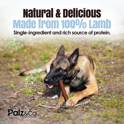 Show full view: Palz&Co Lambdog Lamb Grain-Free Soft & Chewy Sausage Dog Treats, 20-oz bag, 20 count slide 5 of 10