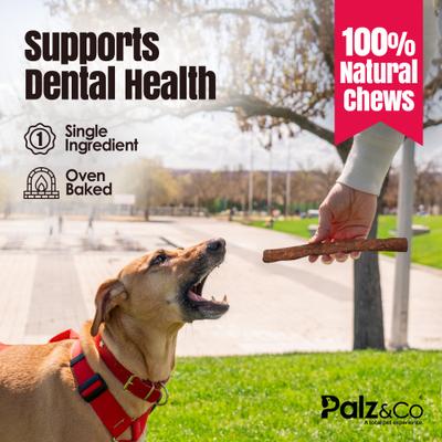 Show full view: Palz&Co Birddog Chicken Grain-Free Soft & Chewy Sausage Dog Treats, 20-oz bag, 20 count slide 9 of 10