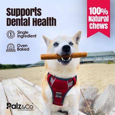 Show full view: Palz&Co Birddog Duck Grain-Free Soft & Chewy Sausage Dog Treats, 20-oz bag, 20 count slide 9 of 10