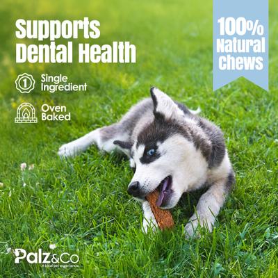 Show full view: Palz&Co Lambdog Lamb Grain-Free Jerky Dog Treats, 8-oz bag, 10 count slide 9 of 10