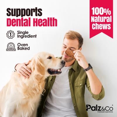 Show full view: Palz&Co Birddog Chicken Grain-Free Jerky Dog Treats, 12-oz bag, 10 count slide 9 of 10