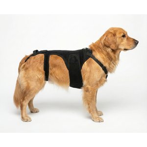 Labra IVDD, Spine Injury & Arthritis Dog Back Brace, Large