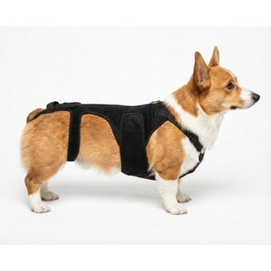 Labra IVDD, Spine Injury & Arthritis Dog Back Brace, Medium
