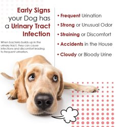 Pet Health Solutions Cranberry D-Mannose Urinary Tract Support Chews Supplement for Dogs, 120 count slide 2 of 9