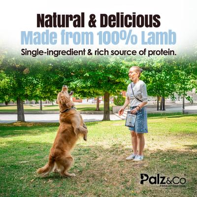 Show full view: Palz&Co Lambdog Lamb Grain-Free Soft & Chewy Bites Dog Treats, 6-oz bag slide 5 of 10