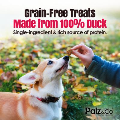 Show full view: Palz&Co Birddog Duck Grain-Free Soft & Chewy Bites Dog Treats, 6-oz bag slide 5 of 10