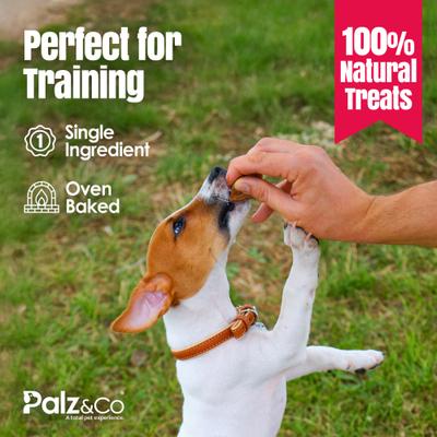 Show full view: Palz&Co Birddog Chicken Grain-Free Soft & Chewy Bites Dog Treats, 6-oz bag slide 9 of 10