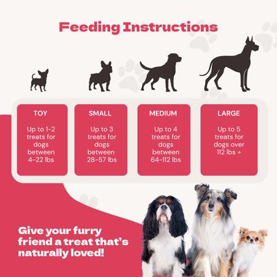 Show full view: Jack PetPals Jack's Favorite Crafted Grain-Free Turkey Tendon Jerky Dog Treats, 2.5-oz slide 9 of 10