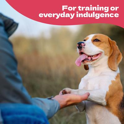 Show full view: Jack PetPals Jack's Favorite Crafted Grain-Free Turkey Tendon Jerky Dog Treats, 2.5-oz slide 7 of 10