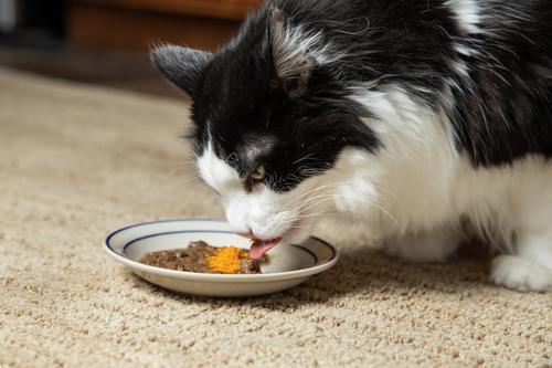 Show full view: InClover Skin + Coat Powder Supplement for Dogs & Cats, 100-gm jar slide 5 of 9