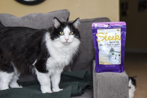 Show full view: InClover Sleek Hairball, Skin & Coat Support Soft Chew Supplement for Cats, 60-gm bag slide 5 of 7