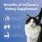 Show in main carousel: InClover Kidney Powder Supplement for Dogs & Cats, 100-gm jar slide 3 of 10