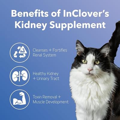 Show full view: InClover Kidney Powder Supplement for Dogs & Cats, 100-gm jar slide 3 of 10