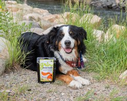 InClover Grin Dental Soft Chew Supplement for Dogs, 113-gm bag slide 2 of 6