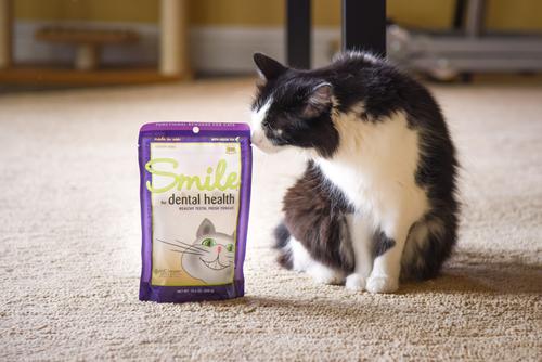 Show full view: InClover Smile Dental Support Soft Chew Supplement for Cats, 60-gm bag slide 4 of 7