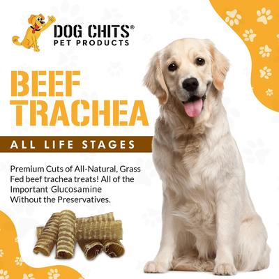 Show full view: Dog Chits 6-in Beef Trachea Dog Natural Chew Treats, 8 count slide 3 of 8