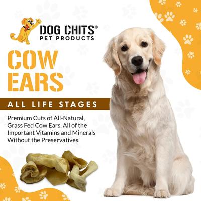 Show full view: Dog Chits Full Cow Ears Dog Natural Chew Treats, 10 count slide 3 of 8