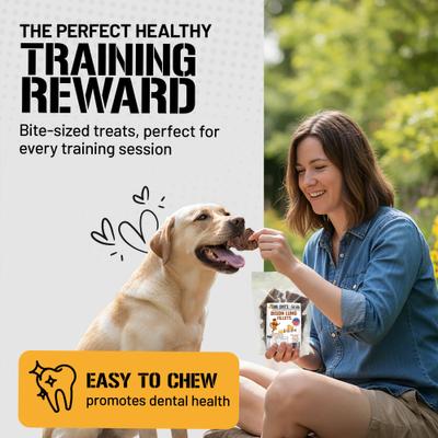 Show full view: Dog Chits Bison Lung Filets Dog Natural Chew Treats, 6-oz bag slide 4 of 8