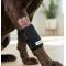 Show in main carousel: Labra Front Leg Dog Wrap, Small/Medium slide 5 of 8