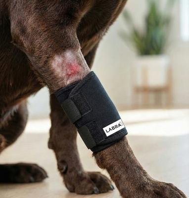Show full view: Labra Front Leg Dog Wrap, Small/Medium slide 5 of 8