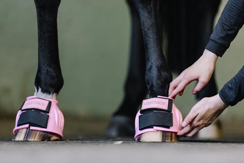 Show full view: Centaur PVC Ribbed Double Hook & Loop Bell Horse Boots, Pink, X-Large slide 4 of 5