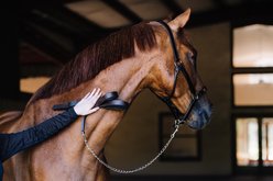 Camelot Leather Horse Lead with Chain, Brown, 30-in slide 2 of 7