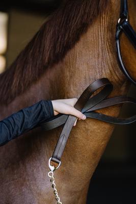 Show full view: Camelot Leather Horse Lead with Chain, Brown, 30-in slide 6 of 7