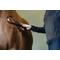 Show in main carousel: Equi-Essentials Comfort-Grip Horse Shedding Blade, Black slide 3 of 6